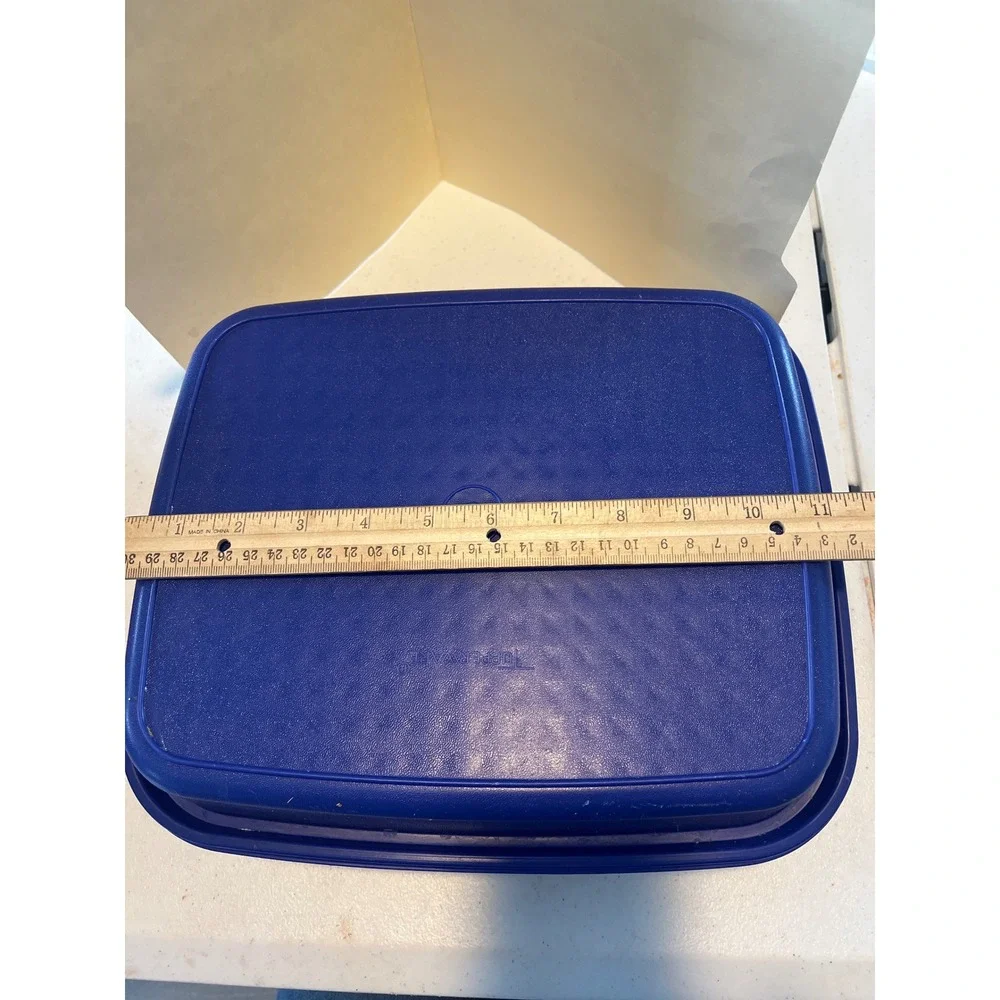 Tupperware Season Serve Marinating Container Blue Square Large Meat Marinater
